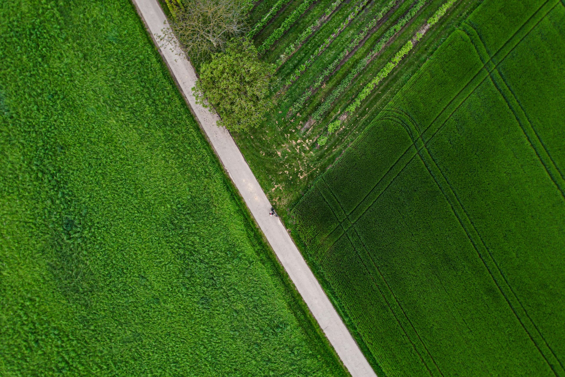 Actionable Strategies to Optimize Rental Yield: Boost Returns and Reduce Risks