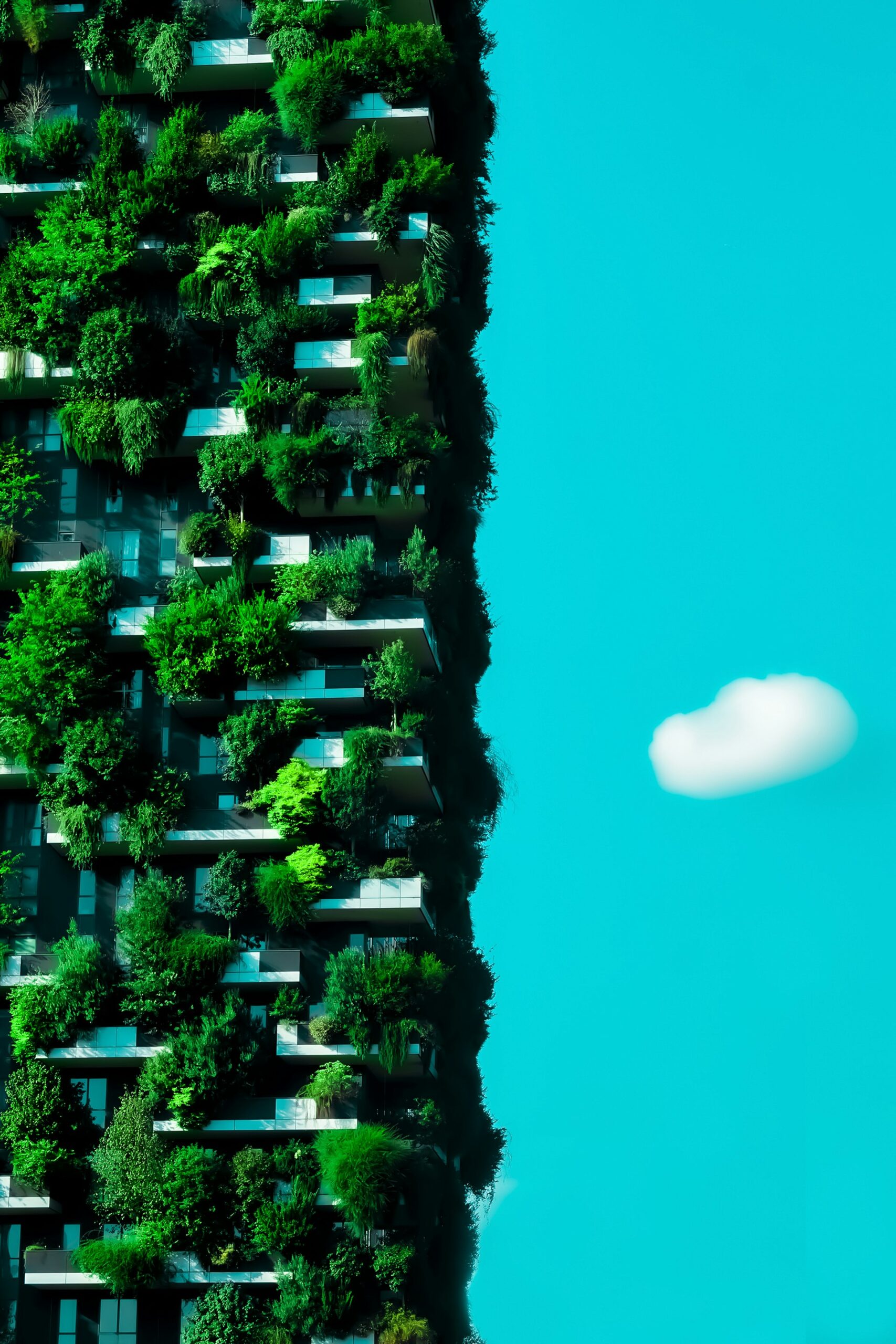 Sustainable Living: The Rise of Emerging Eco-Living Lifestyle Trends for a Greener Future