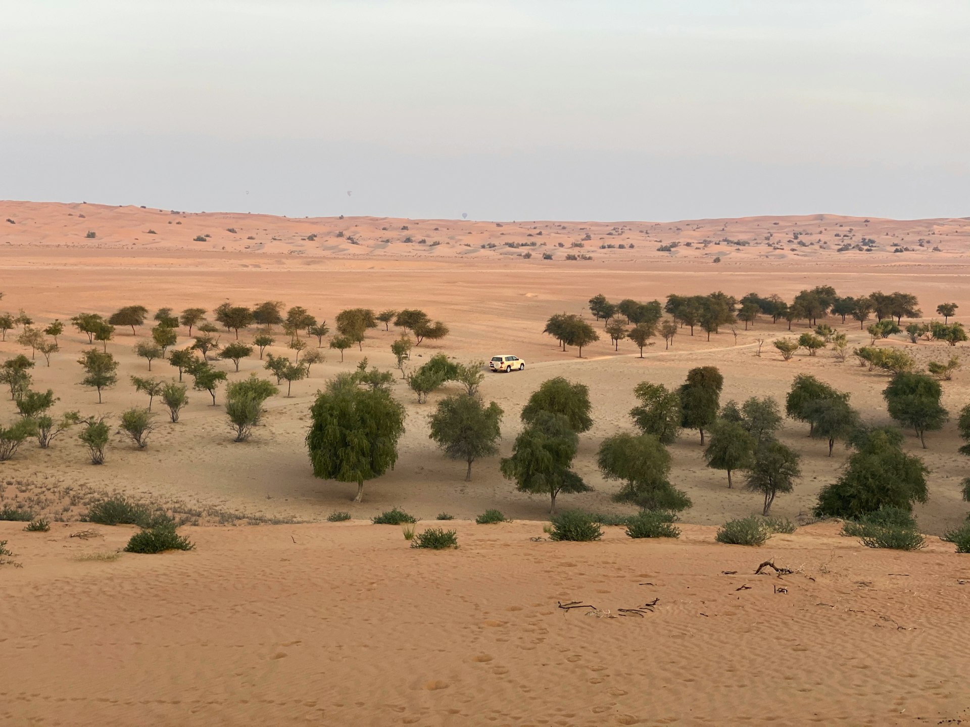 Explore Epic Adventures in the World's Most Iconic Desert Landscapes