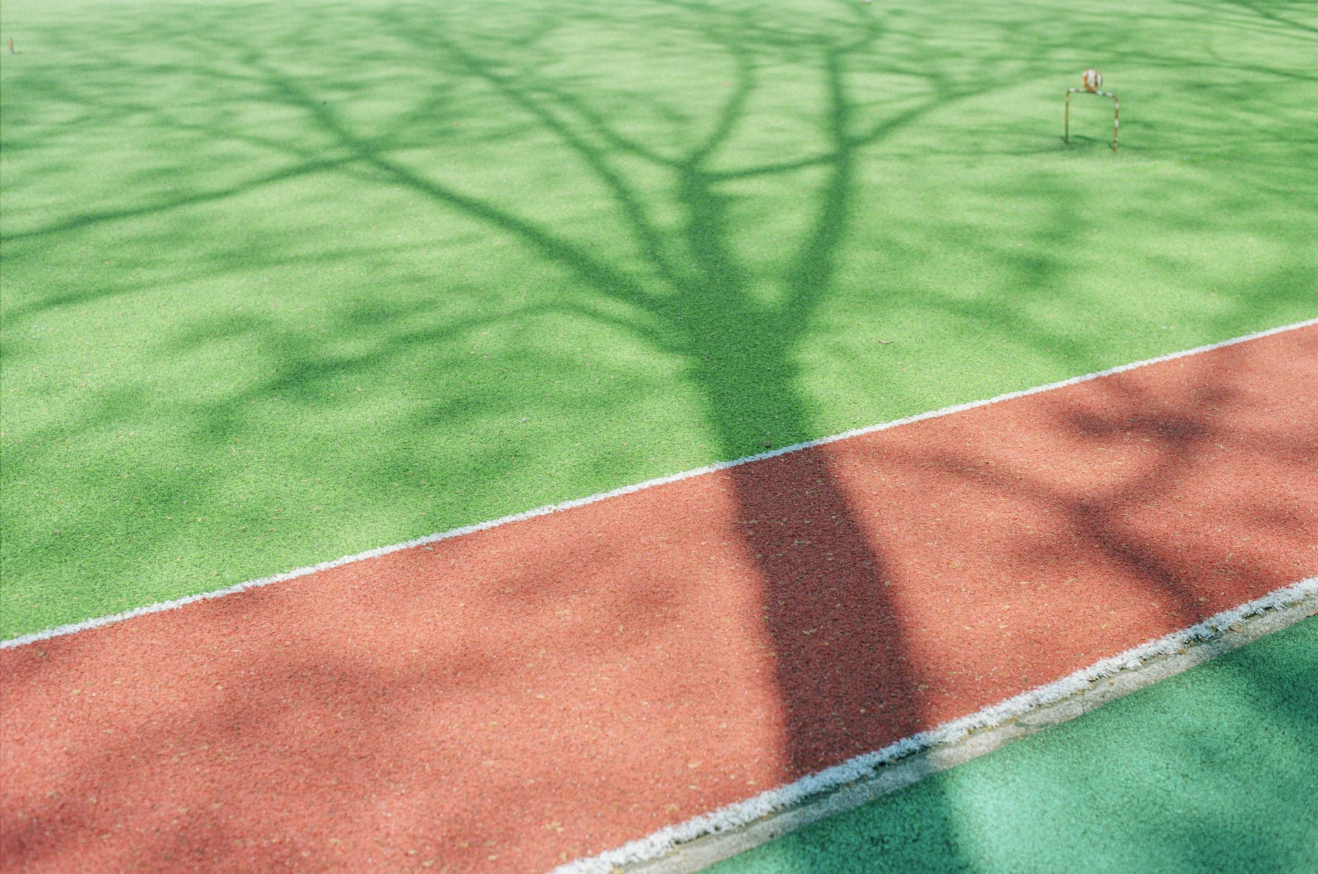 How Environmental Policies Transform Sports Event Planning: Sustainable Strategies and Real-World Impact